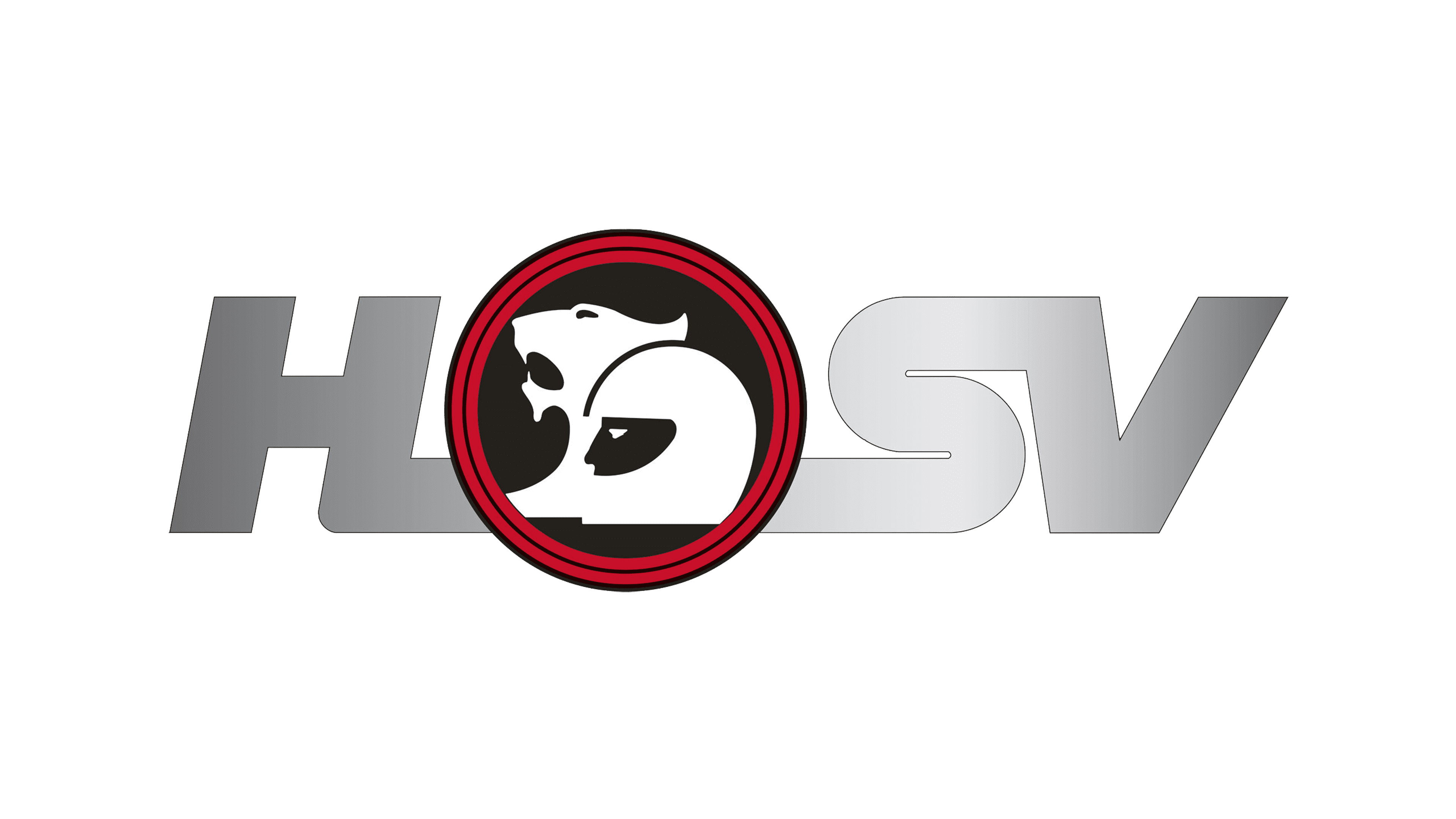 HSV logo Logo